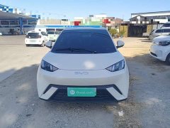 BYD Seagull Glory Edition 305km Vitality Version - ფოტო 3