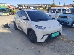 BYD Seagull Glory Edition 305km Vitality Version - ფოტო 4