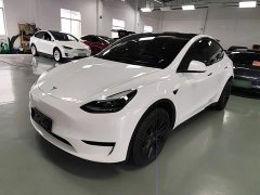 Tesla Model Y Rear-Wheel Drive - ფოტო 1