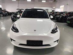 Tesla Model Y Rear-Wheel Drive - ფოტო 3