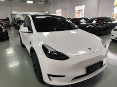 Tesla Model Y Rear-Wheel Drive - ფოტო 4