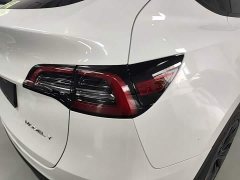 Tesla Model Y Rear-Wheel Drive - ფოტო 8