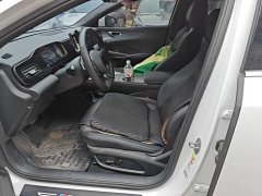 BYD Dolphin 06 2025 EV 545KM Deluxe Edition - ფოტო 15