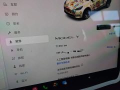 Tesla Model Y Rear-Wheel Drive - ფოტო 12