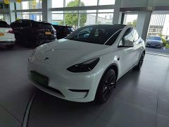 Tesla Model Y Rear-Wheel Drive - ფოტო 2