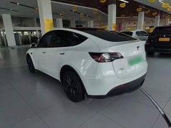 Tesla Model Y Rear-Wheel Drive - ფოტო 5