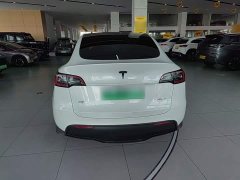 Tesla Model Y Rear-Wheel Drive - ფოტო 6