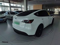 Tesla Model Y Rear-Wheel Drive - ფოტო 7