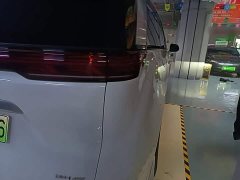 Denza BYD Denza D9 DM-i 980 Four-Wheel Drive Premium - ფოტო 8