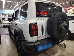 Tank 300 Off-Road Edition 2.0T Conqueror - ფოტო 5