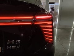 FAW Red Flag H5 PHEV 170 Super Hybrid Edition - ფოტო 8