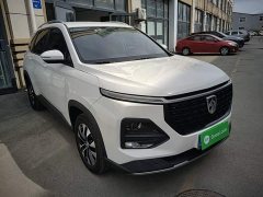 Baojun 530 Global Edition Anniversary Edition 1.5T CVT Luxury 6-seater - ფოტო 4