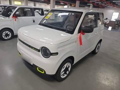 Geely Panda 2025 Panda Mini 210km Vitality Edition - ფოტო 1