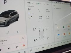Li Auto L9 Ultra Smart Refresh Edition - ფოტო 12