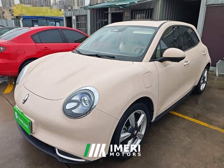 ORA Good Cat 401km Standard Range Luxury LFP - ავტომობილი ჩინეთიდან