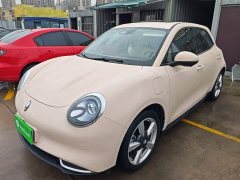 ORA Good Cat 401km Standard Range Luxury LFP - ფოტო 1