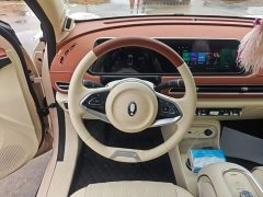 ORA Good Cat 401km Standard Range Luxury LFP - ფოტო 11
