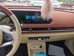 ORA Good Cat 401km Standard Range Luxury LFP - ფოტო 13
