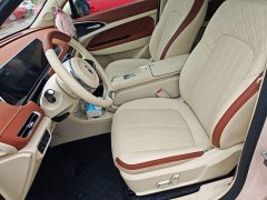 ORA Good Cat 401km Standard Range Luxury LFP - ფოტო 15