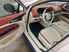 ORA Good Cat 401km Standard Range Luxury LFP - ფოტო 16