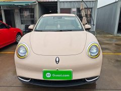 ORA Good Cat 401km Standard Range Luxury LFP - ფოტო 3