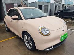 ORA Good Cat 401km Standard Range Luxury LFP - ფოტო 4