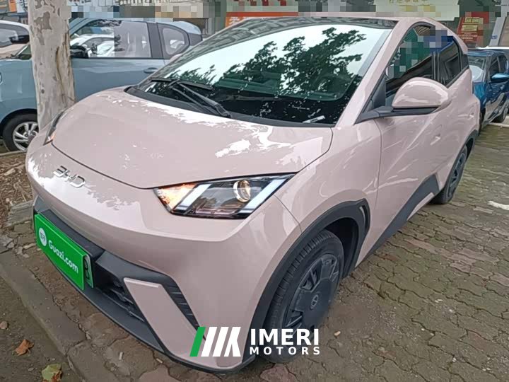 BYD Seagull Glory Edition 305km Vitality Version