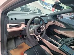 BYD Seagull Glory Edition 305km Vitality Version - ფოტო 10