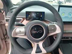 BYD Seagull Glory Edition 305km Vitality Version - ფოტო 11