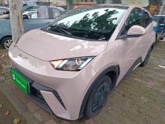 BYD Seagull Glory Edition 305km Vitality Version - ფოტო 2