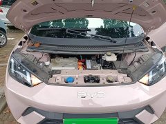 BYD Seagull Glory Edition 305km Vitality Version - ფოტო 20