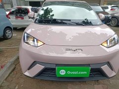 BYD Seagull Glory Edition 305km Vitality Version - ფოტო 3