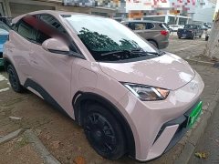 BYD Seagull Glory Edition 305km Vitality Version - ფოტო 4