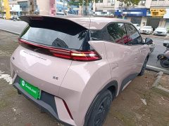 BYD Seagull Glory Edition 305km Vitality Version - ფოტო 7