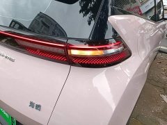 BYD Seagull Glory Edition 305km Vitality Version - ფოტო 8