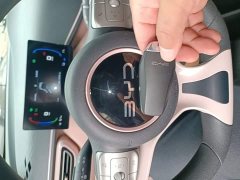 BYD Seagull Glory Edition 305km Vitality Version - ფოტო 9