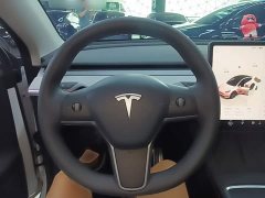 Tesla Model Y Rear-Wheel Drive - ფოტო 11