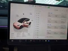 Tesla Model Y Rear-Wheel Drive - ფოტო 13