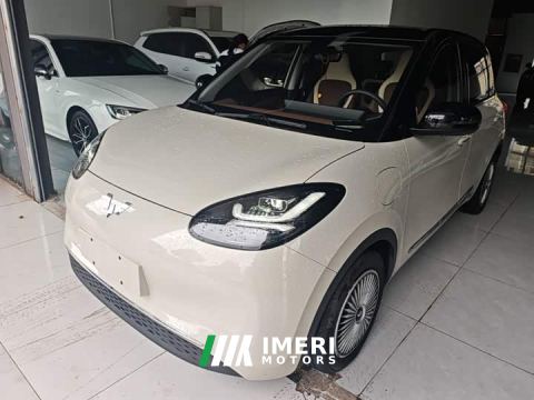 2023 Wuling Binguo 410km Lingxi Premium Edition