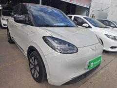 Wuling Binguo 333km Joy Edition - ფოტო 4