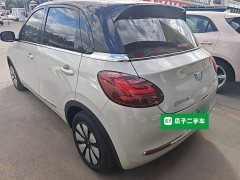 Wuling Binguo 333km Joy Edition - ფოტო 5