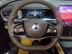 Denza BYD Denza D9 DM-i 980 Four-Wheel Drive Premium - ფოტო 11
