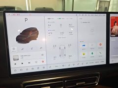 Li Auto L9 Max - ფოტო 12