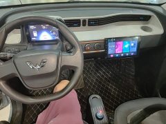 Wuling Hongguang MINIEV 2020 Zizai Edition LFP Battery - ფოტო 10
