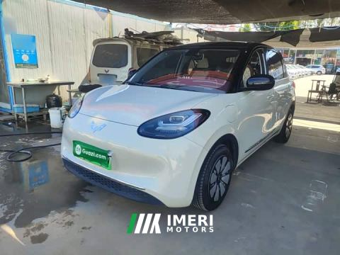 2023 Wuling Binguo 333km Joy Edition