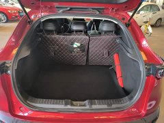Mazda CX-30 2.0L Automatic Jia Yue Edition - ფოტო 19