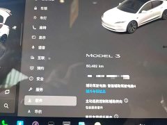 Tesla Model 3 Rear-Wheel Drive - ფოტო 12