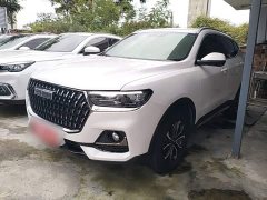 Haval H6 2023 National Trend Edition 1.5T Automatic Urban Version - ფოტო 1