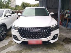 Haval H6 2023 National Trend Edition 1.5T Automatic Urban Version - ფოტო 3