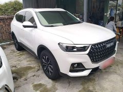 Haval H6 2023 National Trend Edition 1.5T Automatic Urban Version - ფოტო 4